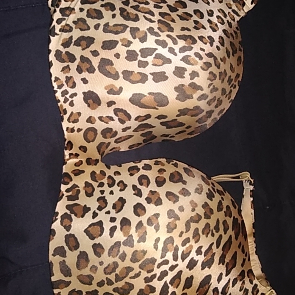 Cacique 40dd